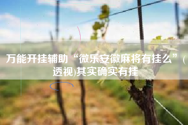 万能开挂辅助“微乐安徽麻将有挂么”(透视)其实确实有挂