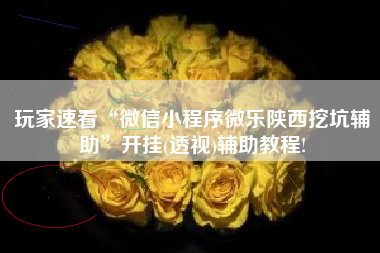 玩家速看“微信小程序微乐陕西挖坑辅助	”开挂(透视)辅助教程!