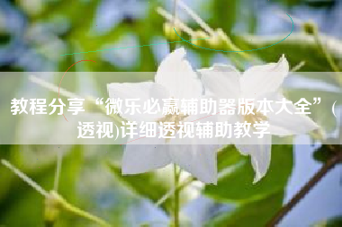 教程分享“微乐必赢辅助器版本大全”(透视)详细透视辅助教学