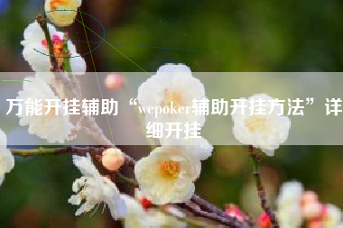 万能开挂辅助“wepoker辅助开挂方法”详细开挂
