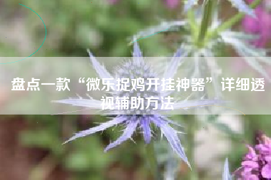 盘点一款“微乐捉鸡开挂神器”详细透视辅助方法