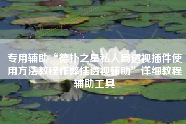 专用辅助“德扑之星私人局透视插件使用方法教程作弊挂透视辅助”详细教程辅助工具