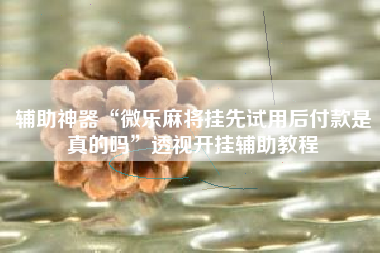 辅助神器“微乐麻将挂先试用后付款是真的吗	”透视开挂辅助教程