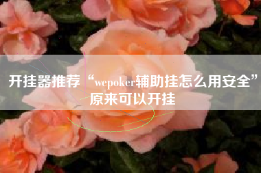 开挂器推荐“wepoker辅助挂怎么用安全	”原来可以开挂