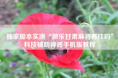 独家脚本实测“微乐甘肃麻将有挂吗	”科技辅助神器手机版教程