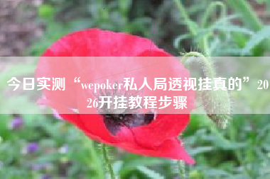 今日实测“wepoker私人局透视挂真的”2026开挂教程步骤