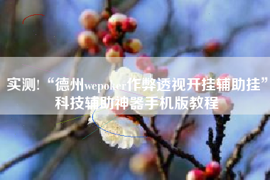 实测!“德州wepoker作弊透视开挂辅助挂”科技辅助神器手机版教程