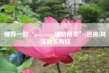 推荐一款“pokemmo辅助精灵	”(透视)其实确实有挂