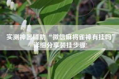 实测神器辅助“微信麻将雀神有挂吗	”详细分享装挂步骤!