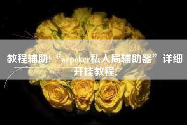 教程辅助!“wepoker私人局辅助器”详细开挂教程!