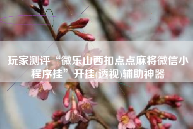 玩家测评“微乐山西扣点点麻将微信小程序挂”开挂(透视)辅助神器