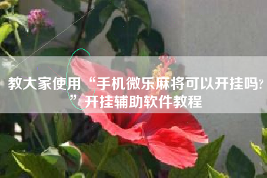 教大家使用“手机微乐麻将可以开挂吗?”开挂辅助软件教程