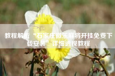 教程解析“石家庄微乐麻将开挂免费下载安装	”详细透视教程