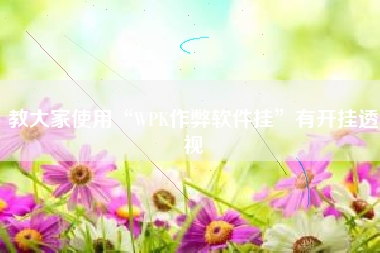 教大家使用“WPK作弊软件挂	”有开挂透视