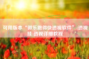 可用版本“微乐跑得快透视软件”(透视挂)透视详细教程