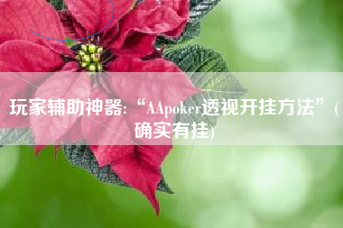 玩家辅助神器:“AApoker透视开挂方法	”(确实有挂)