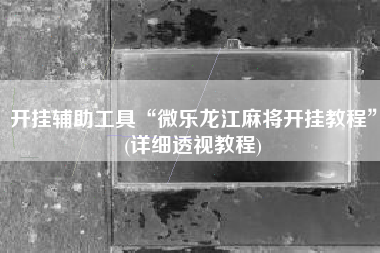 开挂辅助工具“微乐龙江麻将开挂教程	”(详细透视教程)