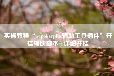 实操教程“wepokerplus辅助工具插件”开挂辅助脚本+详细开挂