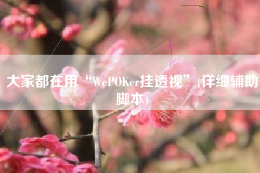 大家都在用“WePOKer挂透视”(详细辅助脚本)
