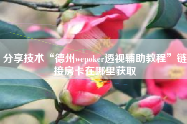 分享技术“德州wepoker透视辅助教程	”链接房卡在哪里获取