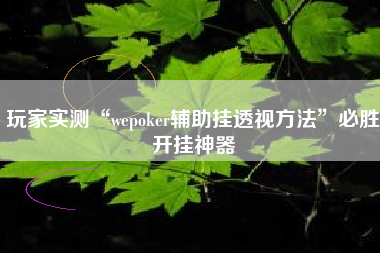 玩家实测“wepoker辅助挂透视方法	”必胜开挂神器