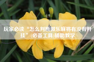 玩家必读“怎么判断微乐麻将有没有开挂”(必备工具)辅助教学