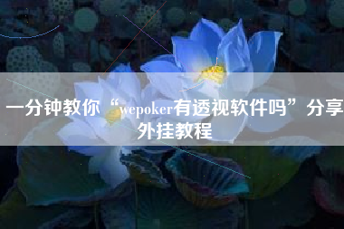 一分钟教你“wepoker有透视软件吗”分享外挂教程