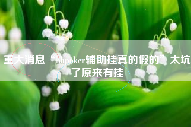 重大消息“hhpoker辅助挂真的假的”太坑了原来有挂