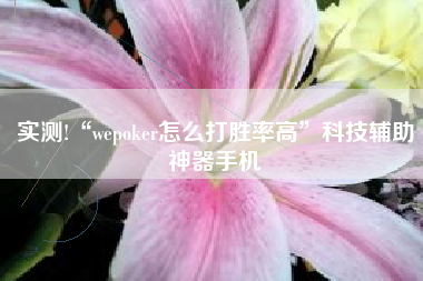 实测!“wepoker怎么打胜率高	”科技辅助神器手机