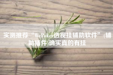实测推荐“WePoker透视挂辅助软件”(辅助插件)确实真的有挂