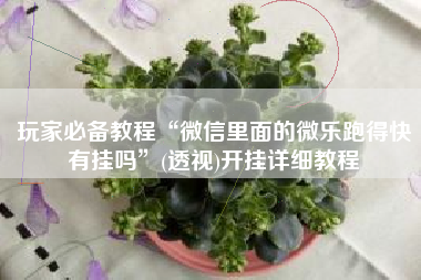 玩家必备教程“微信里面的微乐跑得快有挂吗”(透视)开挂详细教程