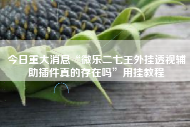 今日重大消息“微乐二七王外挂透视辅助插件真的存在吗”用挂教程