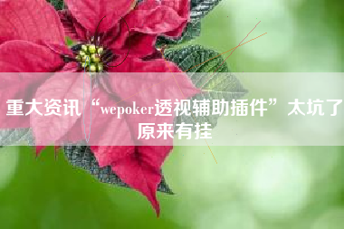 重大资讯“wepoker透视辅助插件”太坑了原来有挂