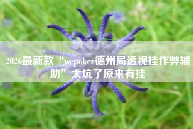 2026最新款“wepoker德州局透视挂作弊辅助	”太坑了原来有挂