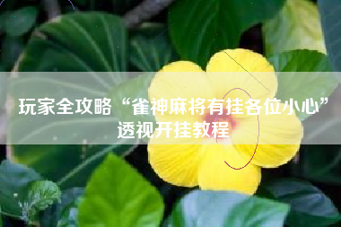 玩家全攻略“雀神麻将有挂各位小心	”透视开挂教程