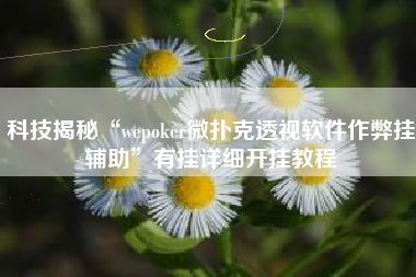 科技揭秘“wepoker微扑克透视软件作弊挂辅助”有挂详细开挂教程