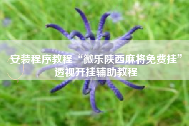 安装程序教程“微乐陕西麻将免费挂”透视开挂辅助教程