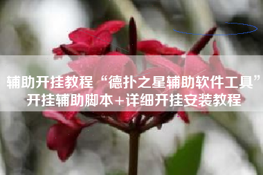 辅助开挂教程“德扑之星辅助软件工具”开挂辅助脚本+详细开挂安装教程