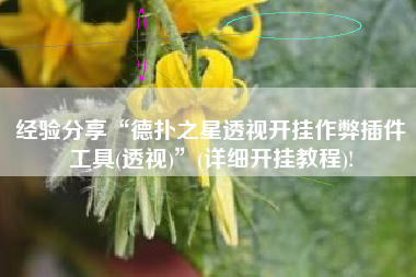 经验分享“德扑之星透视开挂作弊插件工具(透视)”(详细开挂教程)!