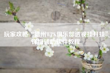 玩家攻略“德州WPK俱乐部透视挂开挂”详细辅助软件教程