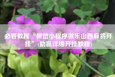 必看教程“微信小程序微乐山西麻将开挂	”(助赢详细开挂教程)