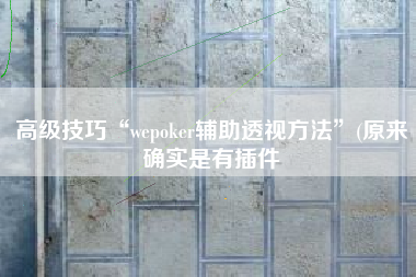 高级技巧“wepoker辅助透视方法	”(原来确实是有插件