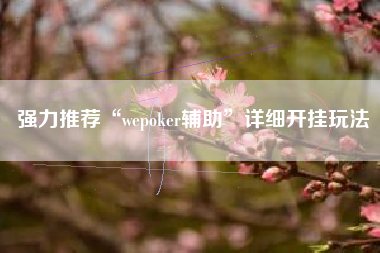 强力推荐“wepoker辅助”详细开挂玩法