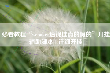 必看教程“wepoker透视挂真的假的	”开挂辅助脚本+详细开挂