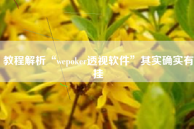 教程解析“wepoker透视软件”其实确实有挂
