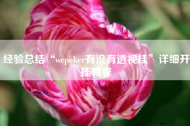 经验总结“wepoker有没有透视挂”详细开挂教程