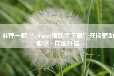 推荐一款“wePoker辅助器下载”开挂辅助脚本+详细开挂