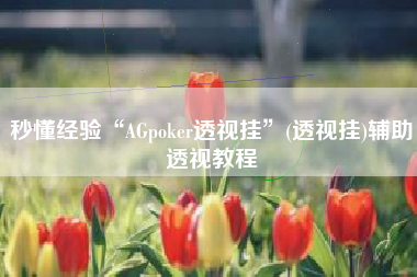 秒懂经验“AGpoker透视挂	”(透视挂)辅助透视教程