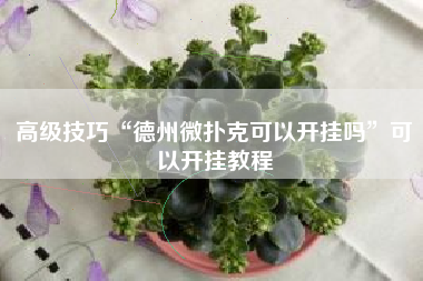 高级技巧“德州微扑克可以开挂吗”可以开挂教程