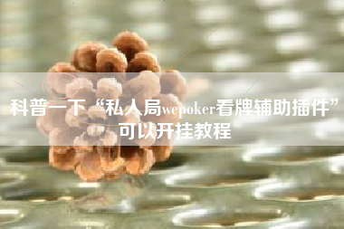 科普一下“私人局wepoker看牌辅助插件”可以开挂教程
